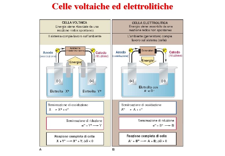 Celle voltaiche ed elettrolitiche 