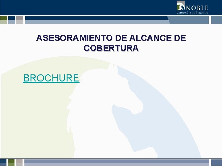 ASESORAMIENTO DE ALCANCE DE COBERTURA BROCHURE 