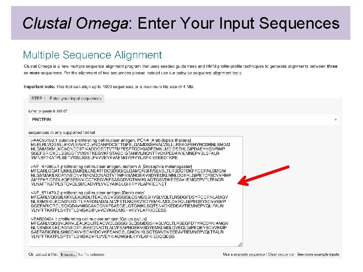 Clustal Omega: Enter Your Input Sequences 