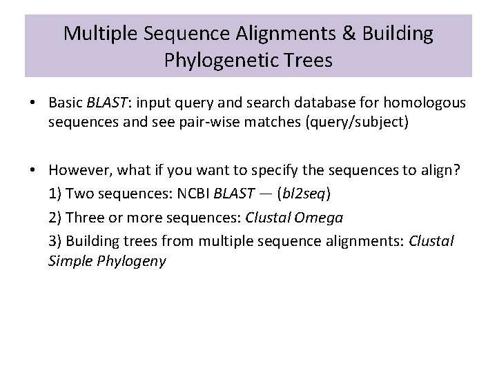 Multiple Sequence Alignments & Building Phylogenetic Trees • Basic BLAST: input query and search