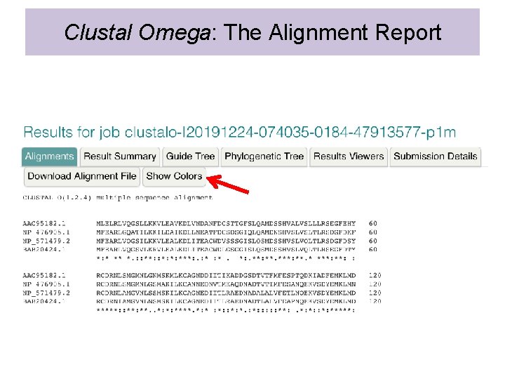 Clustal Omega: The Alignment Report 