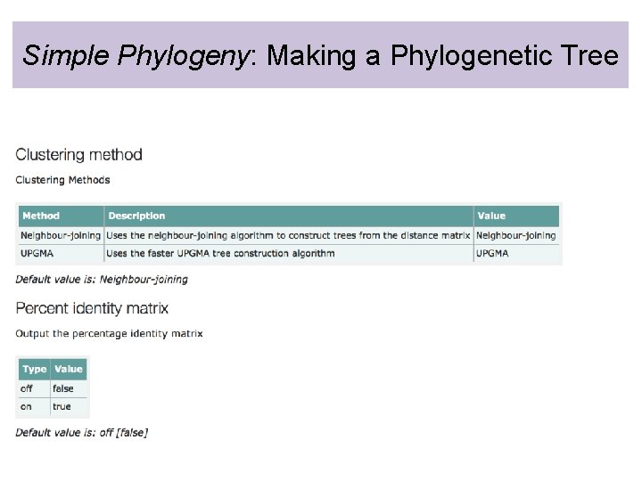 Simple Phylogeny: Making a Phylogenetic Tree 