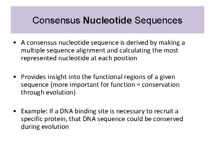 Consensus Nucleotide Sequences • A consensus nucleotide sequence is derived by making a multiple