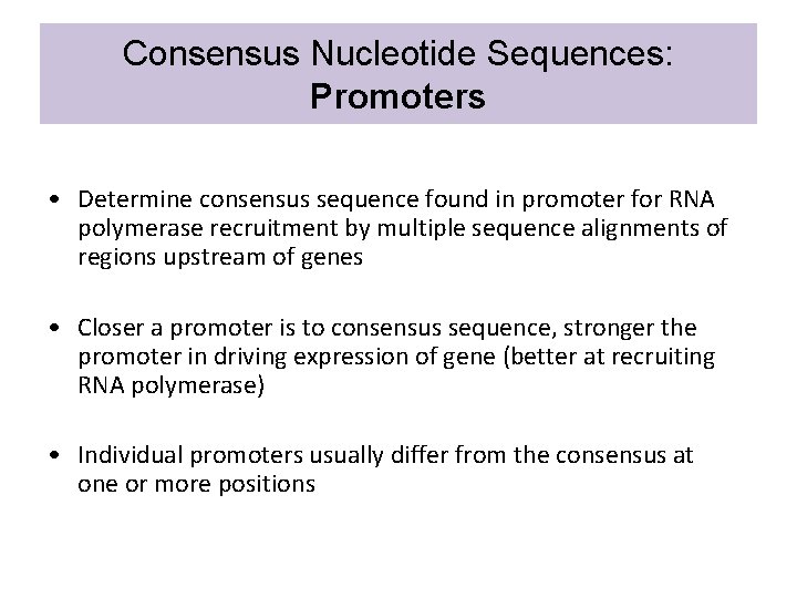 Consensus Nucleotide Sequences: Promoters • Determine consensus sequence found in promoter for RNA polymerase
