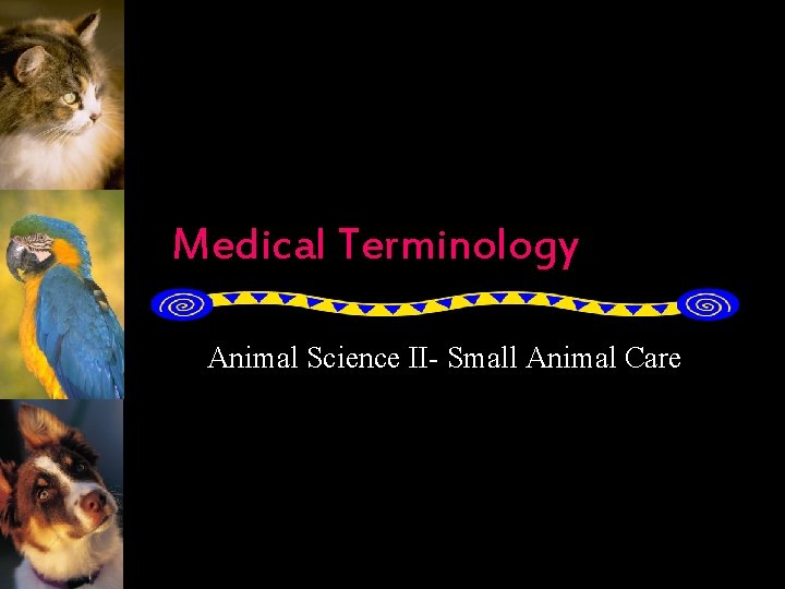 Medical Terminology Animal Science II- Small Animal Care 