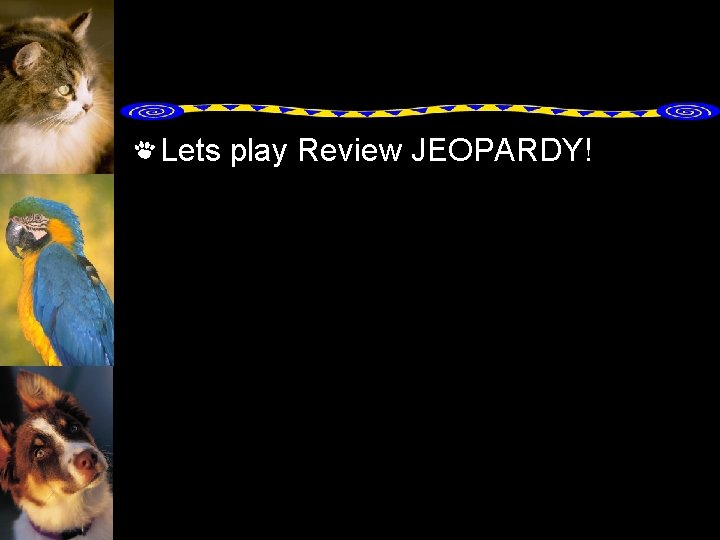 Lets play Review JEOPARDY! 