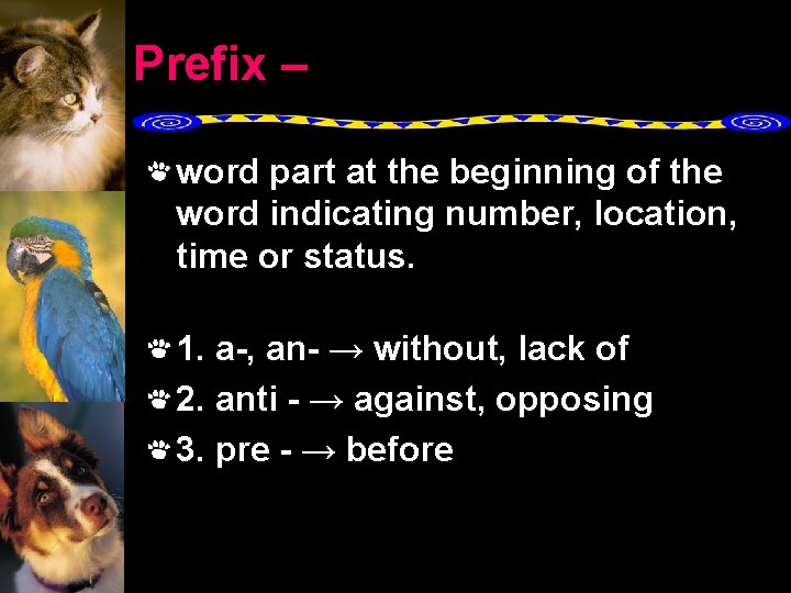 Prefix – word part at the beginning of the word indicating number, location, time