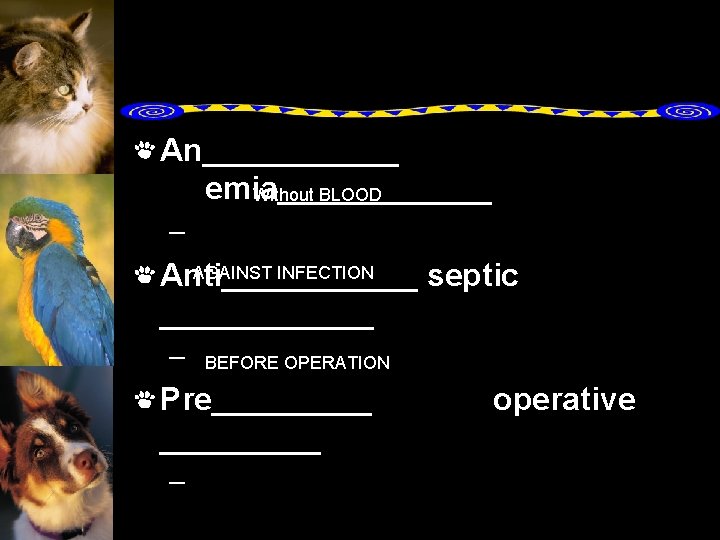 An______ emia______ Without BLOOD – AGAINST INFECTION Anti______ septic ______ – BEFORE OPERATION Pre_________