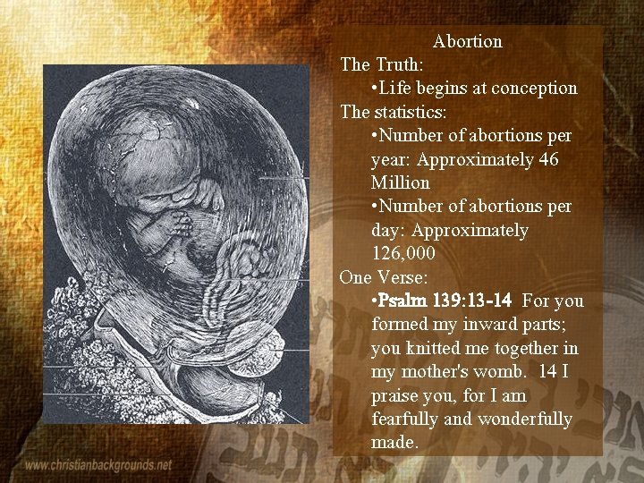 Abortion The Truth: • Life begins at conception The statistics: • Number of abortions