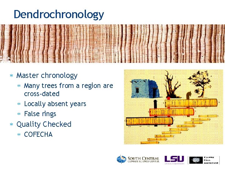 Dendrochronology Master chronology Many trees from a region are cross-dated Locally absent years False