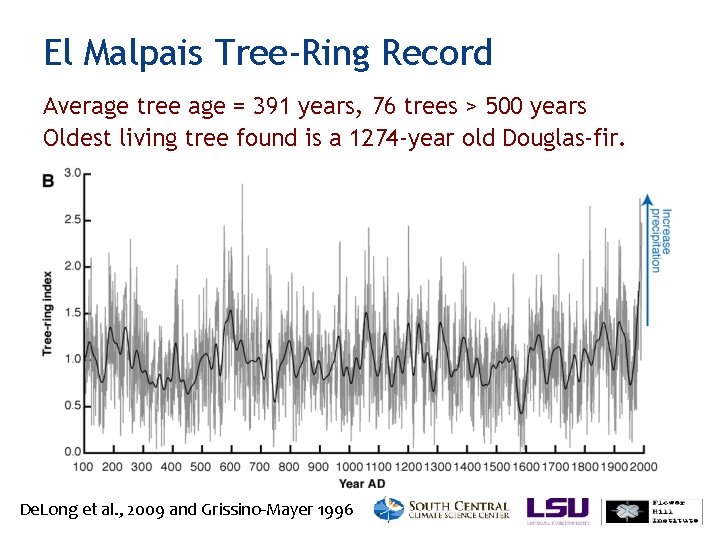 El Malpais Tree-Ring Record Average tree age = 391 years, 76 trees > 500