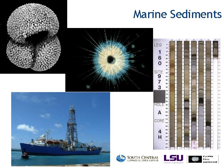 Marine Sediments 