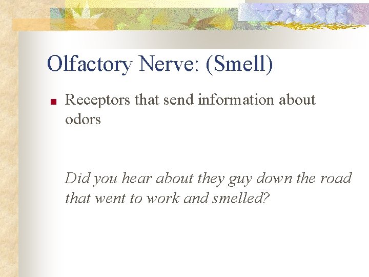 Olfactory Nerve: (Smell) ■ Receptors that send information about odors Did you hear about
