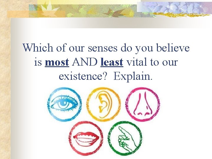 Which of our senses do you believe is most AND least vital to our