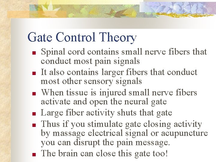 Gate Control Theory ■ ■ ■ Spinal cord contains small nerve fibers that conduct
