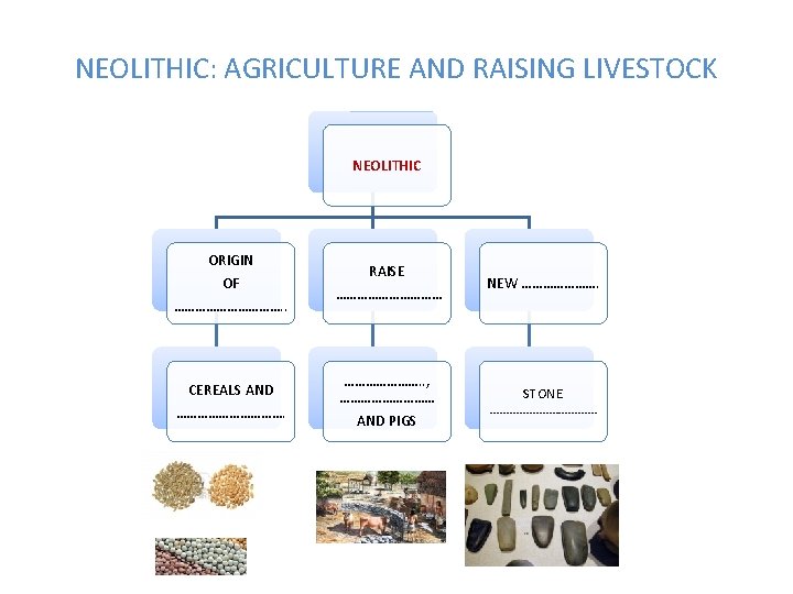 NEOLITHIC: AGRICULTURE AND RAISING LIVESTOCK NEOLITHIC ORIGIN OF ……………. . CEREALS AND ……………. RAISE