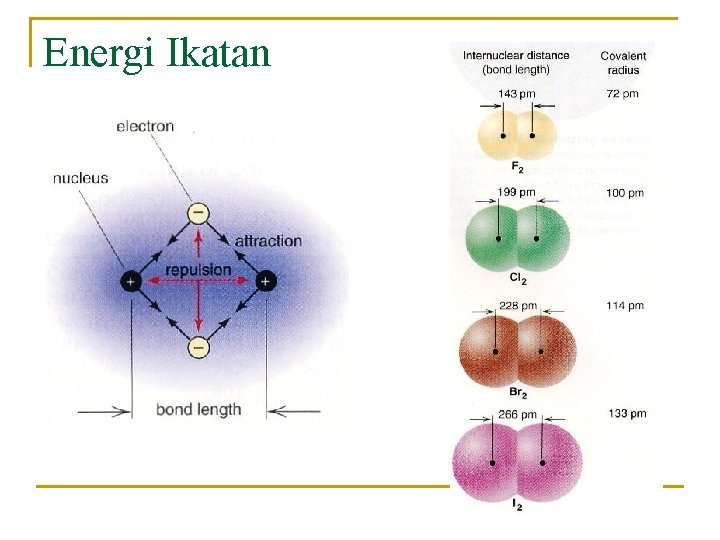 Energi Ikatan 