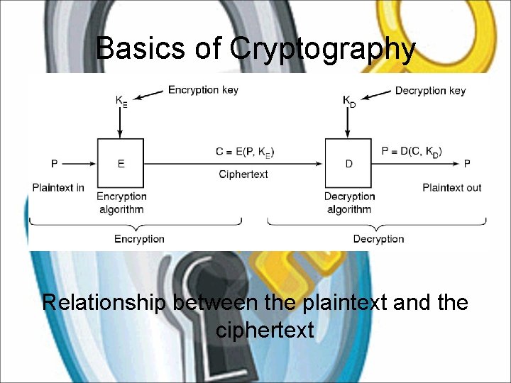 Basics of Cryptography Relationship between the plaintext and the ciphertext 