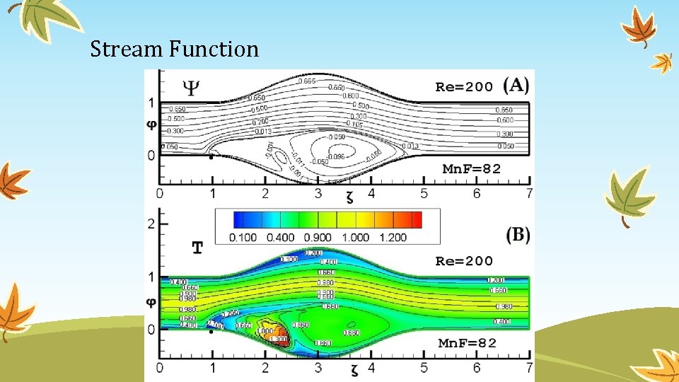 Stream Function 