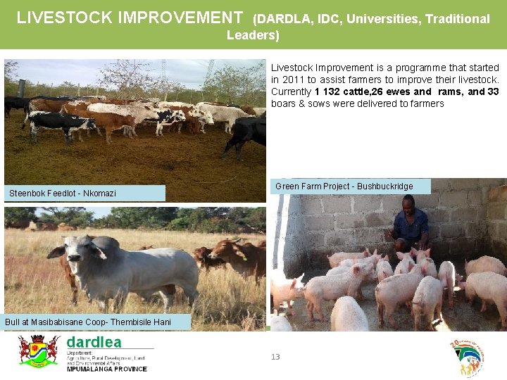 LIVESTOCK IMPROVEMENT (DARDLA, IDC, Universities, Traditional Leaders) Livestock Improvement is a programme that started