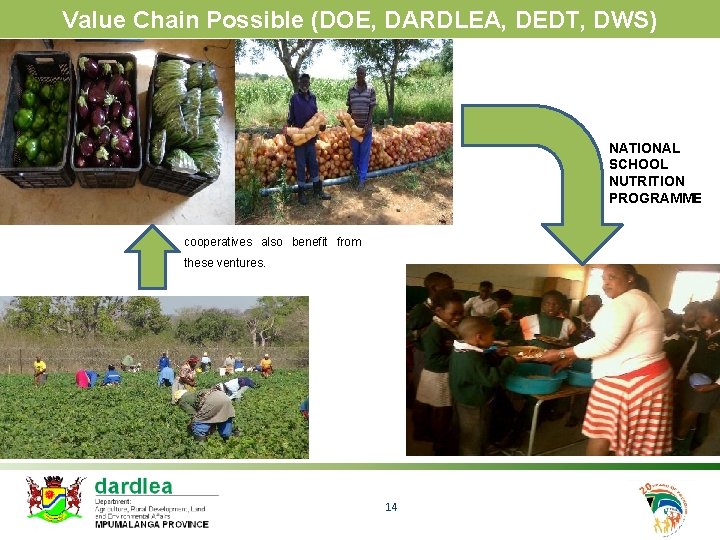 Value Chain Possible (DOE, DARDLEA, DEDT, DWS) NATIONAL SCHOOL NUTRITION PROGRAMME Bushbuckridge Veg Assemble