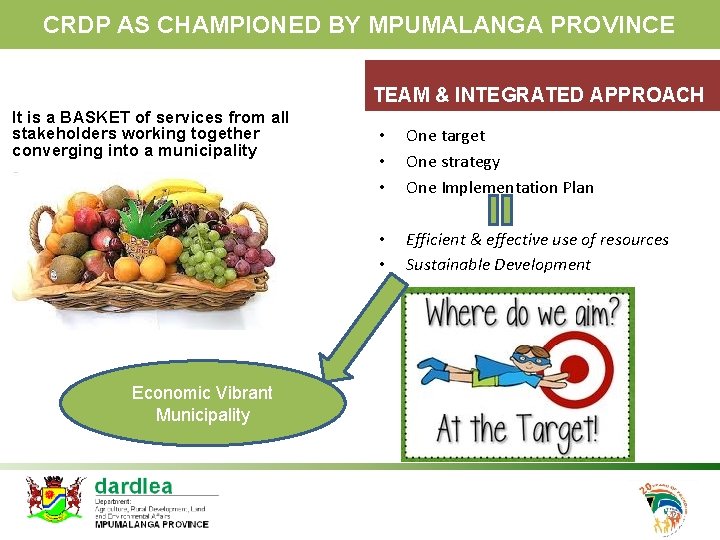 CRDP AS CHAMPIONED BY MPUMALANGA PROVINCE TEAM & INTEGRATED APPROACH It is a BASKET