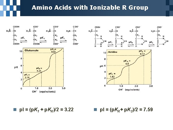 Amino Acids with Ionizable R Group n p. I = (p. K 1 +