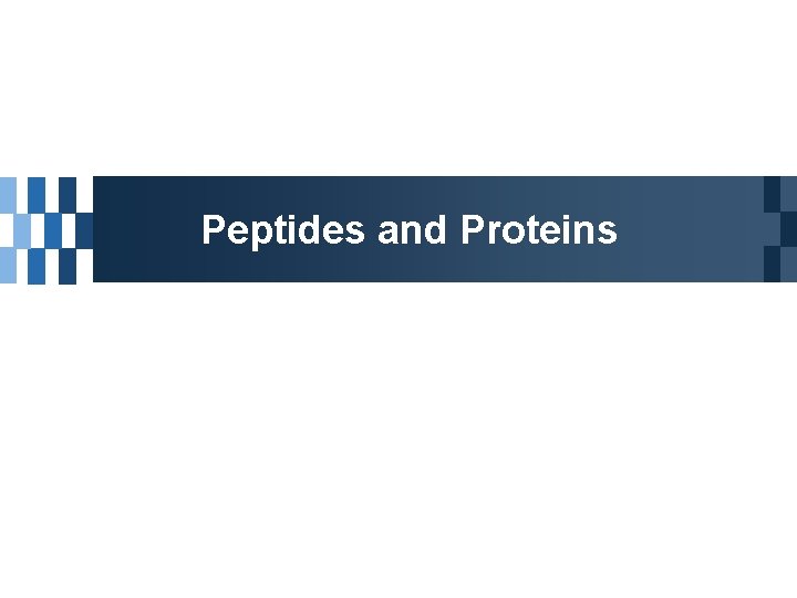 Peptides and Proteins 