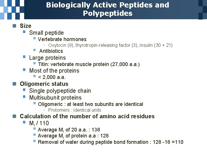 Biologically Active Peptides and Polypeptides n Size § Small peptide § Vertebrate hormones §