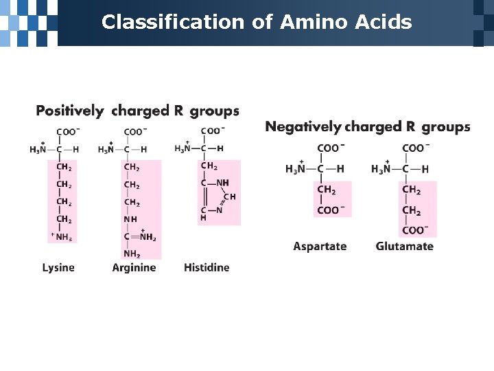 Classification of Amino Acids 