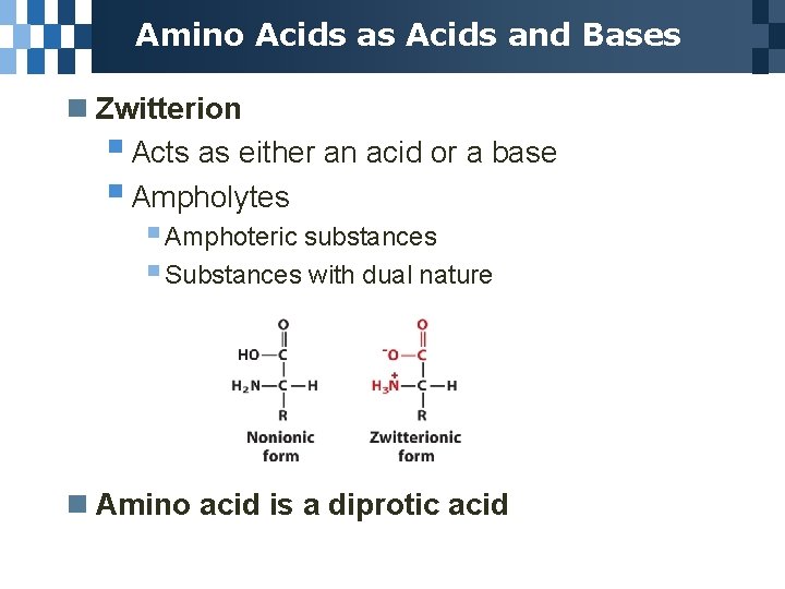 Amino Acids as Acids and Bases n Zwitterion § Acts as either an acid