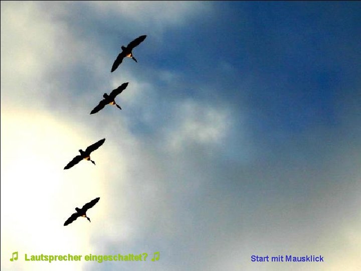 ♫ Lautsprecher eingeschaltet? ♫ Start mit Mausklick 