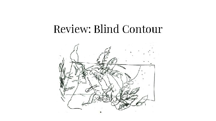 Review: Blind Contour 