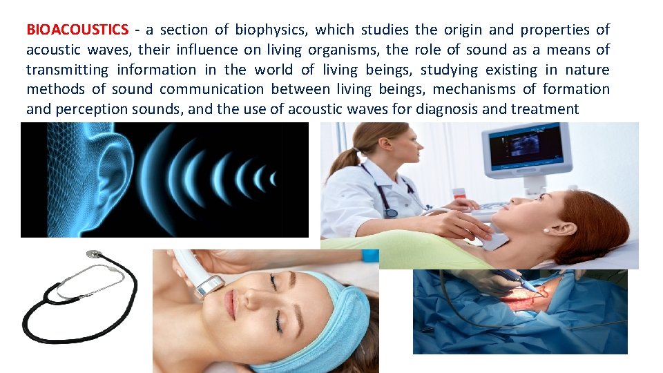 BIOACOUSTICS - a section of biophysics, which studies the origin and properties of acoustic