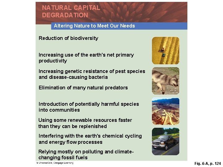 NATURAL CAPITAL DEGRADATION Altering Nature to Meet Our Needs Reduction of biodiversity Increasing use