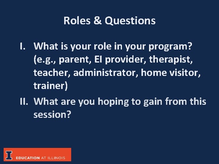 Roles & Questions I. What is your role in your program? (e. g. ,