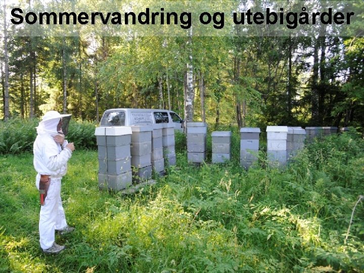 Sommervandring og utebigårder 