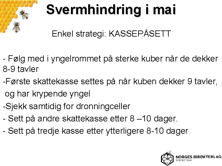 Svermhindring i mai Enkel strategi: KASSEPÅSETT - Følg med i yngelrommet på sterke kuber