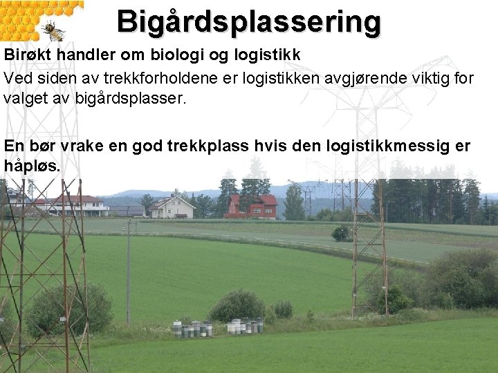 Bigårdsplassering Birøkt handler om biologi og logistikk Ved siden av trekkforholdene er logistikken avgjørende