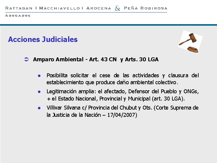 P 15 Acciones Judiciales Ü Amparo Ambiental - Art. 43 CN y Arts. 30