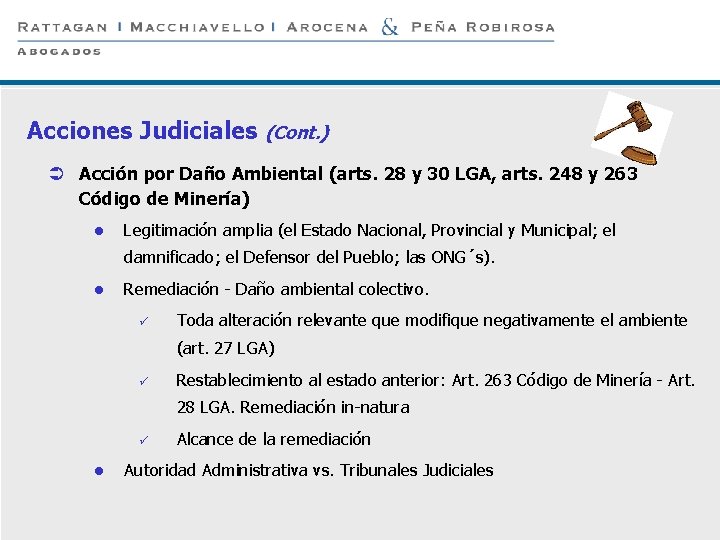 P 16 Acciones Judiciales (Cont. ) Ü Acción por Daño Ambiental (arts. 28 y