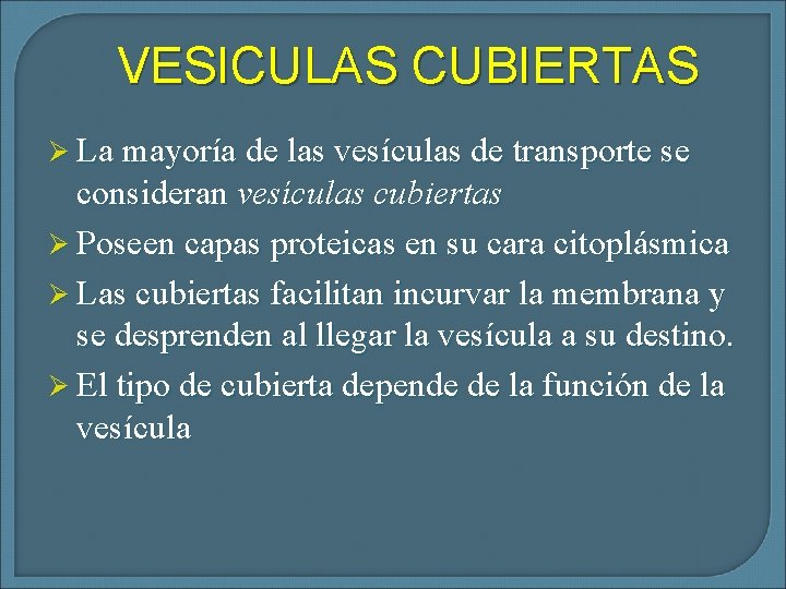VESICULAS CUBIERTAS Ø La mayoría de las vesículas de transporte se consideran vesículas cubiertas