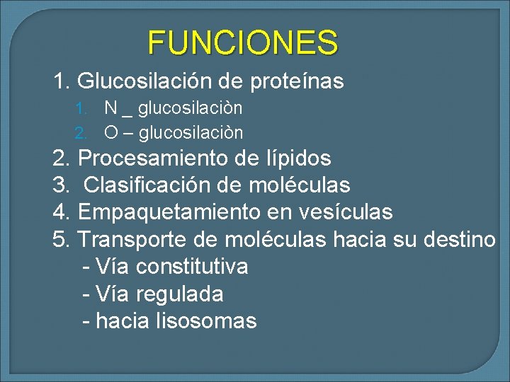 FUNCIONES 1. Glucosilación de proteínas 1. N _ glucosilaciòn 2. O – glucosilaciòn 2.