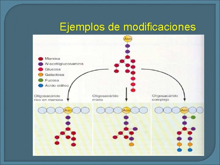 Ejemplos de modificaciones 