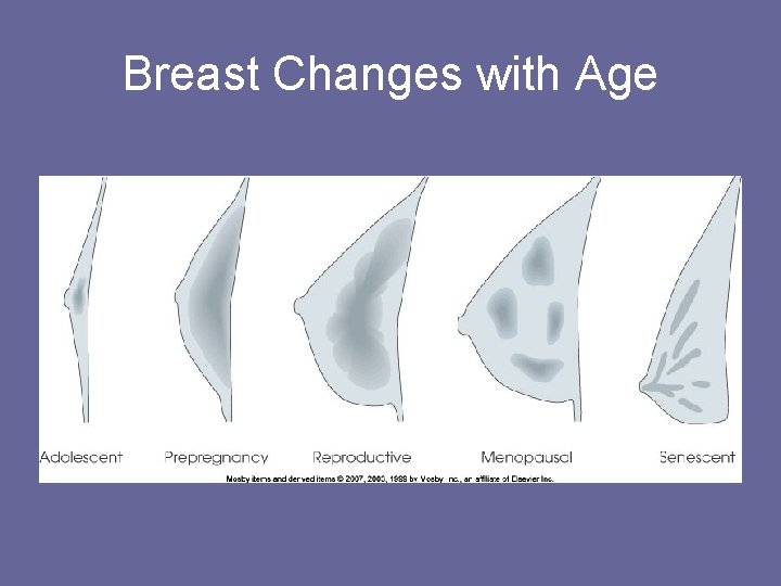 Breast Changes with Age 