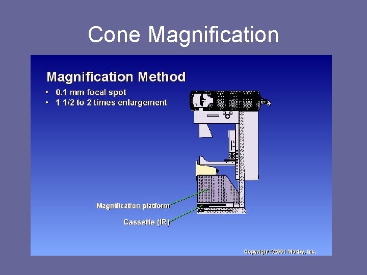Cone Magnification 