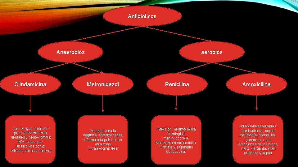 Antibioticos Anaerobios Clindamicina Metronidazol Penicilina acné vulgar; profilaxis para intervenciones dentales y perio dontitis;