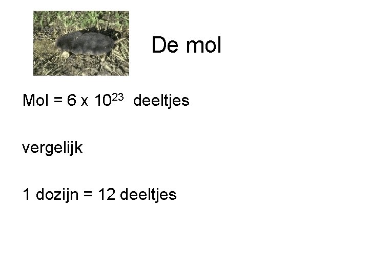 De mol Mol = 6 x 1023 deeltjes vergelijk 1 dozijn = 12 deeltjes