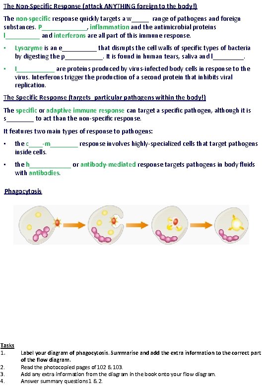 The Non-Specific Response (attack ANYTHING foreign to the body!) The non-specific response quickly targets