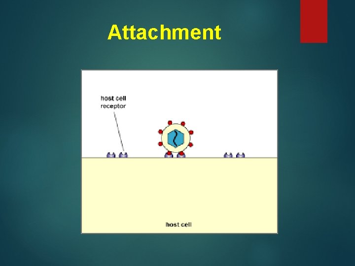 Attachment 